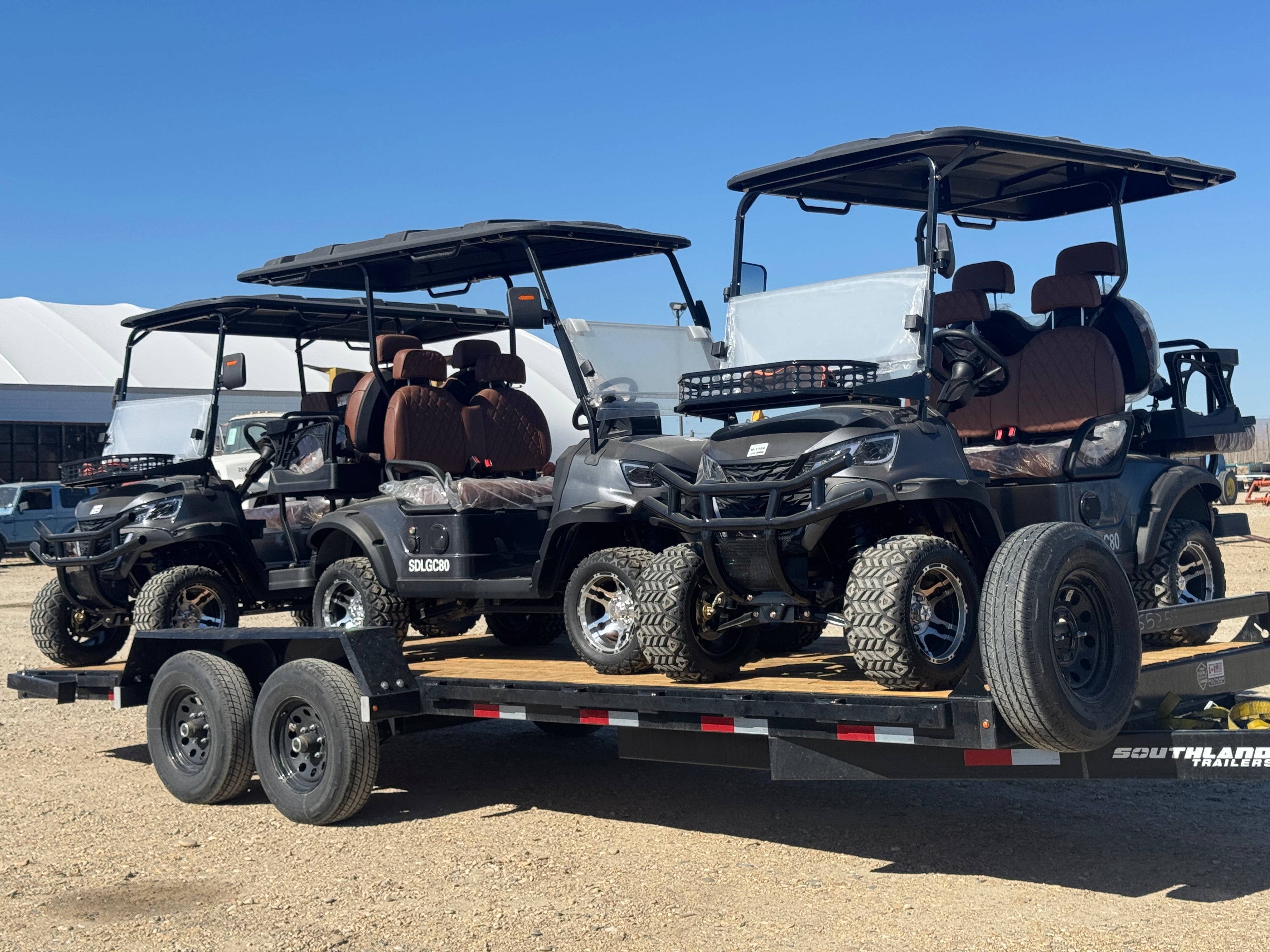 Electric Golf Cart