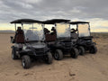 2026 SDLGC80 Electric Golf Cart